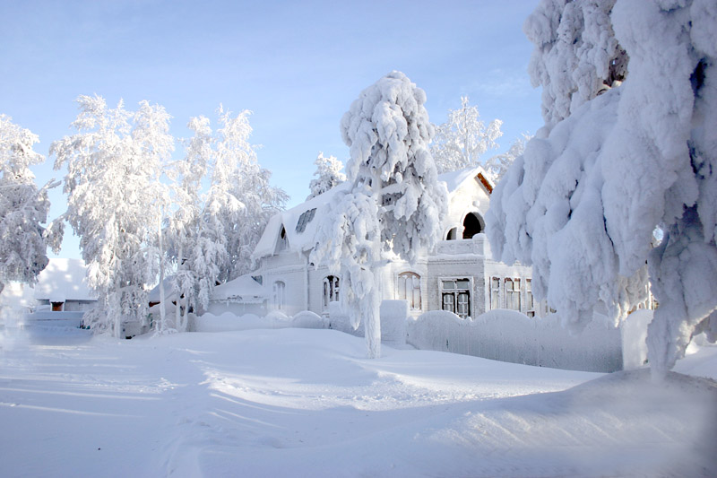 http://ipt.nmu.org.ua/ua/multimedia/foto/winter/13.jpg